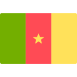 Cameroon flag icon