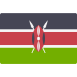Kenya flag icon