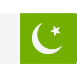 Pakistan flag icon