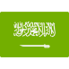 Saudi Arabia flag icon