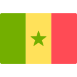 Senegal flag icon
